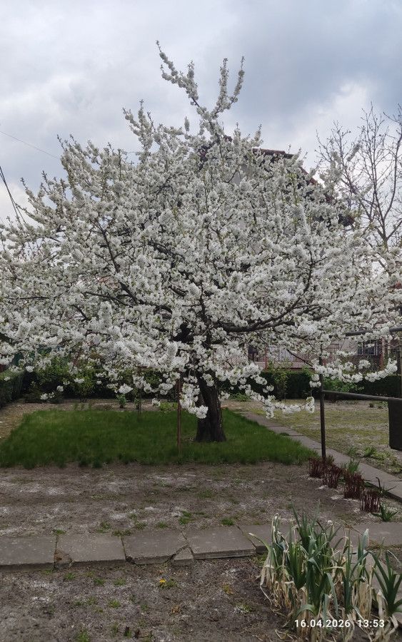 dom, 3 pokoje Płock. Zdjęcie 5