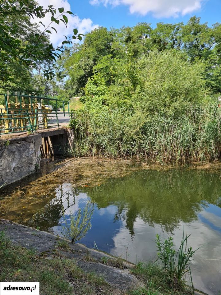 Działka budowlana Rogoźnik. Zdjęcie 6