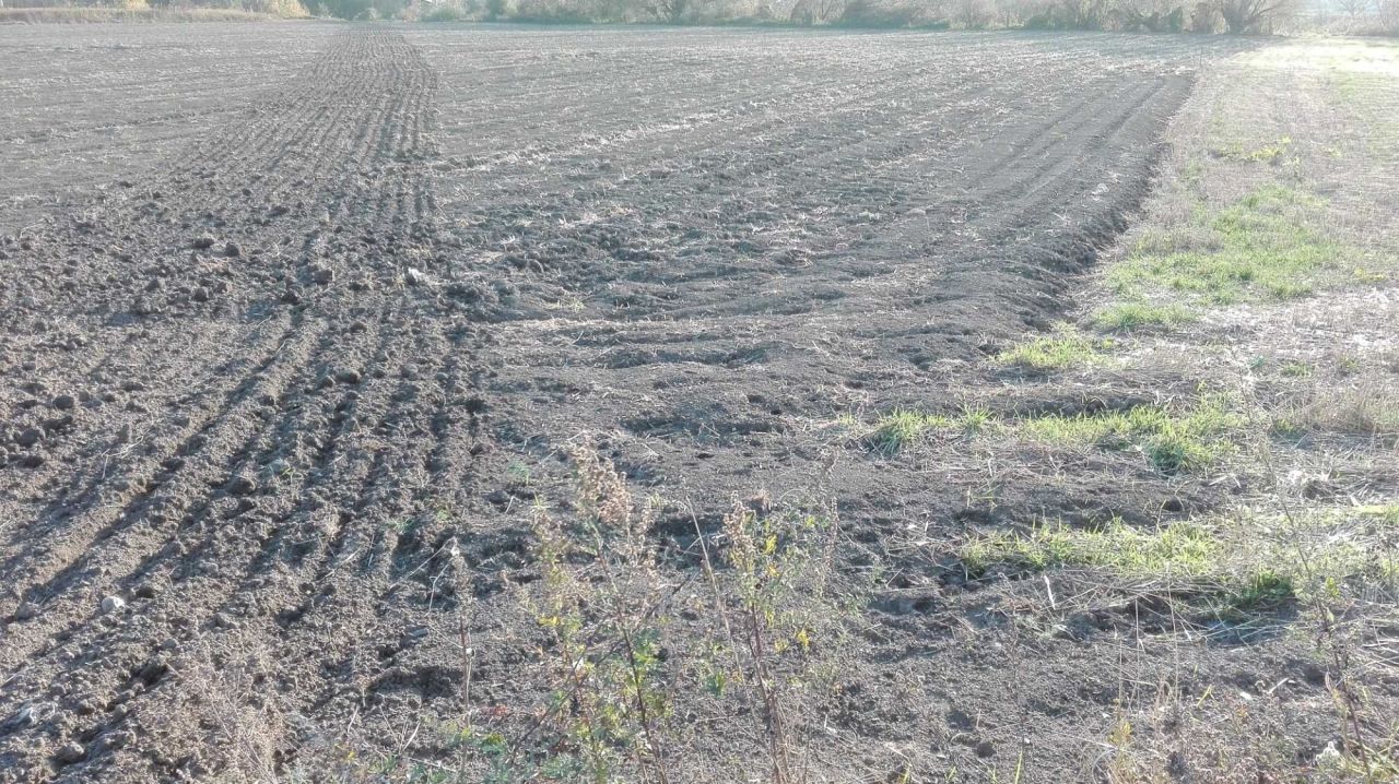 Działka inwestycyjna Radymno Zasanie. Zdjęcie 3