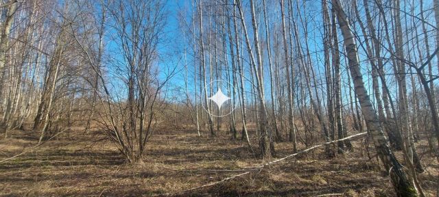 Działka budowlana Różnowo. Zdjęcie 8