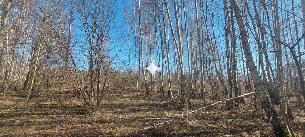 Działka budowlana Różnowo. Zdjęcie 8