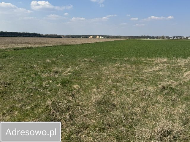 Działka budowlana Radzewo, ul. Żytnia. Zdjęcie 4