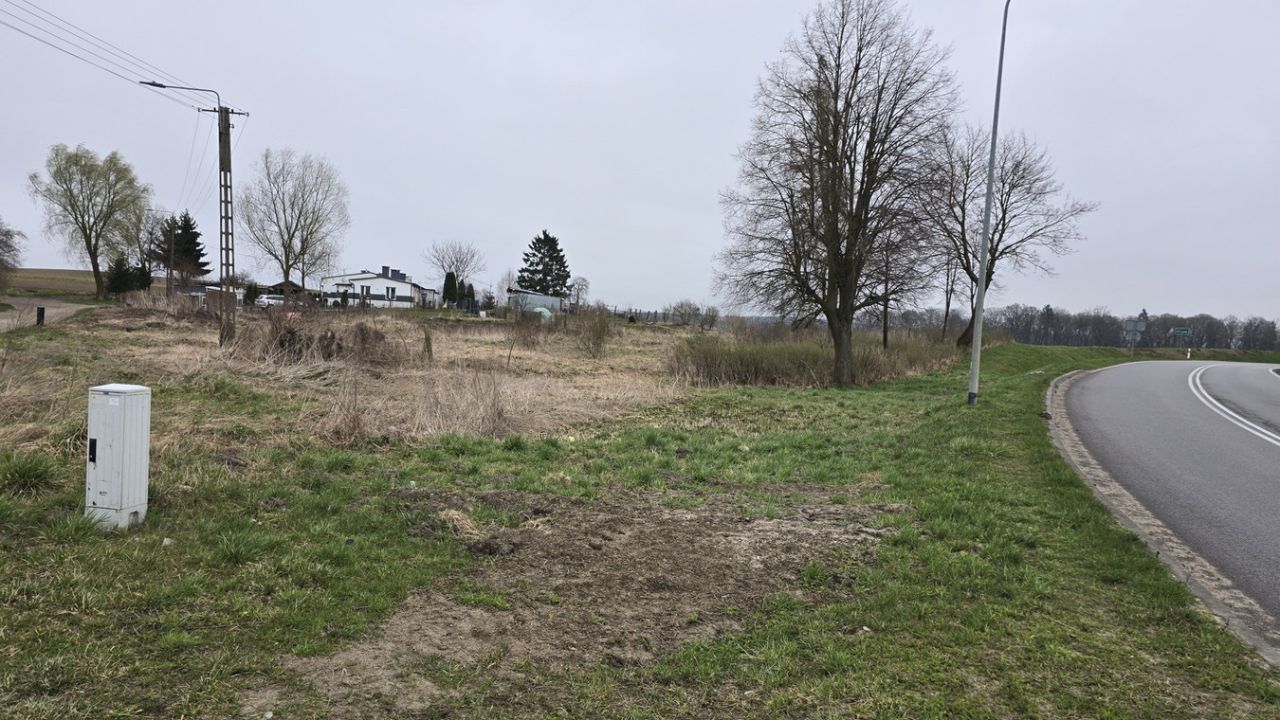 Działka rolna Cygusy. Zdjęcie 1