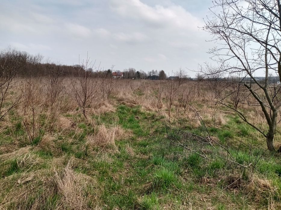 Działka budowlana Toruń, ul. Wiejska. Zdjęcie 2