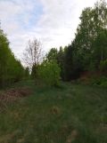 Działka rekreacyjna Adamówek, ul. Pańska. Zdjęcie 4
