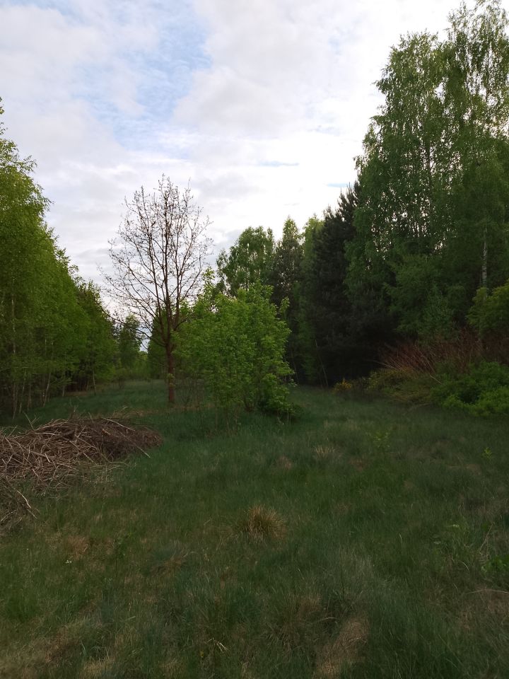 Działka rekreacyjna Adamówek, ul. Pańska. Zdjęcie 5