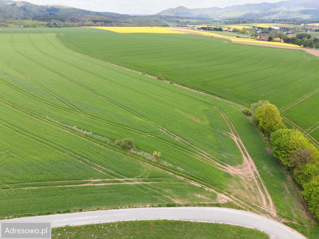 Działka budowlana Wojbórz. Zdjęcie 8