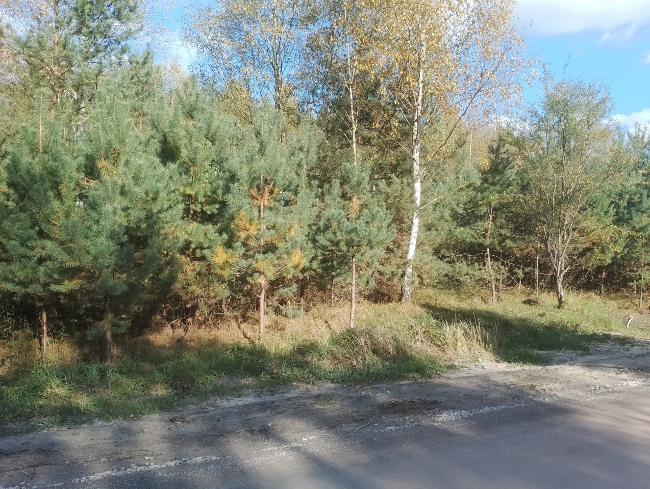 Działka budowlana Ewina. Zdjęcie 5