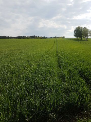 Działka rolna Rudnik. Zdjęcie 1