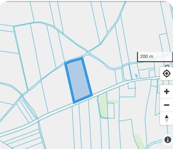 Działka rolna Grzeszyn. Zdjęcie 1