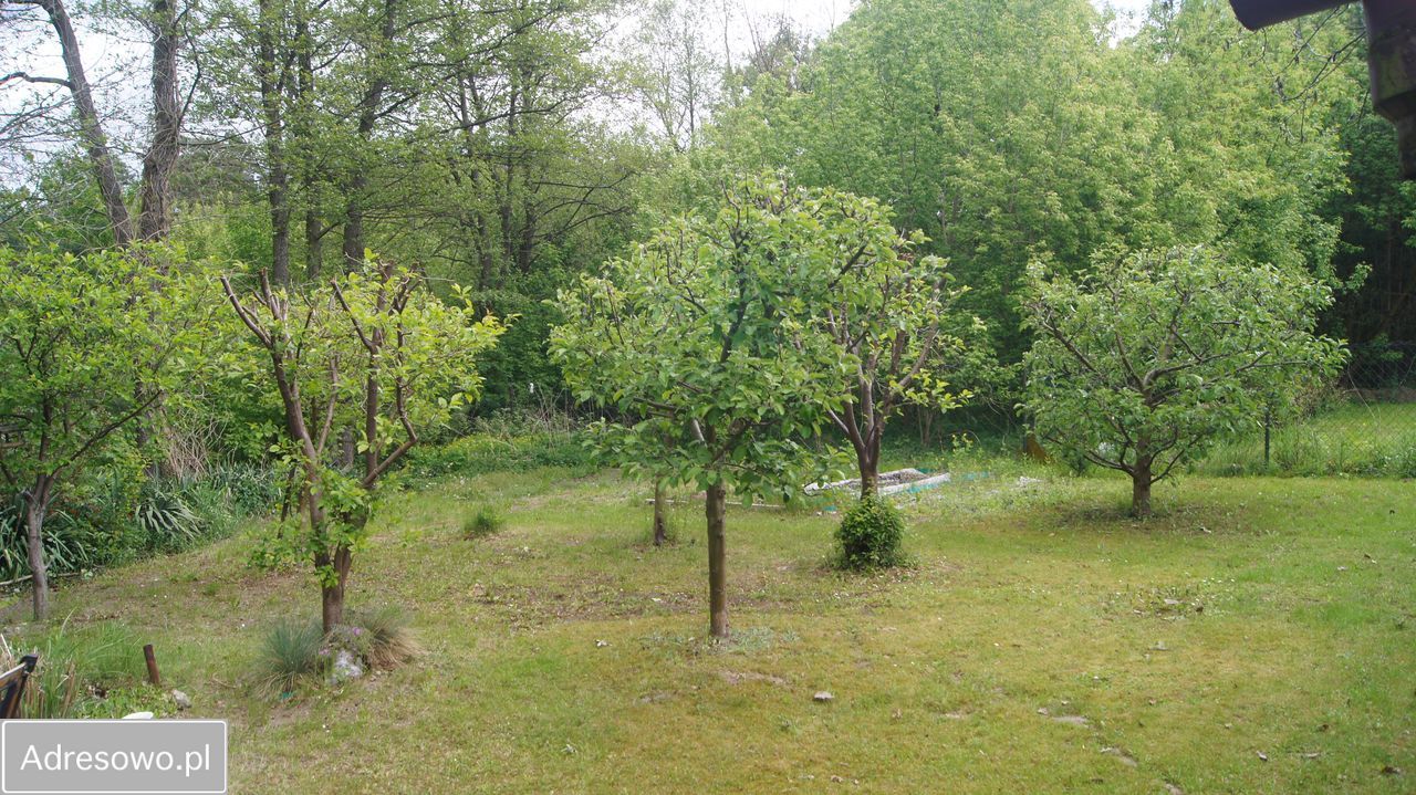 Działka budowlana Sobieski. Zdjęcie 12