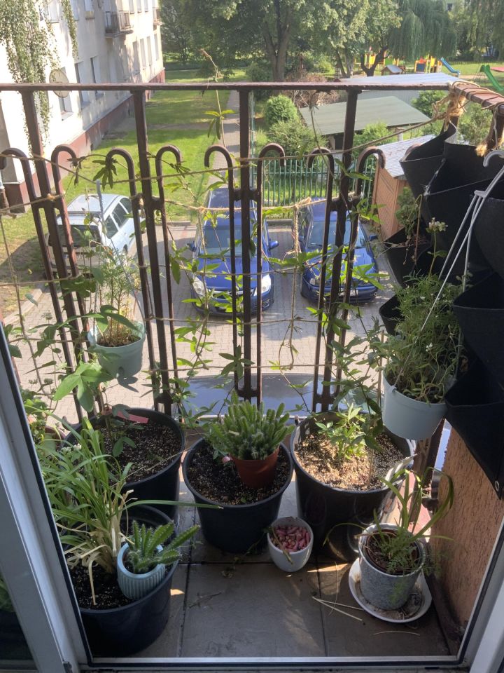 Mieszkanie 2-pokojowe Siedlce Centrum, ul. Kazimierza Pułaskiego. Zdjęcie 27