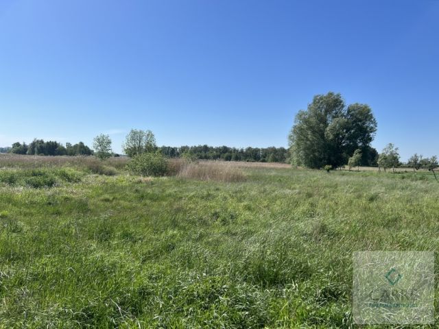 Działka rolna Zastań. Zdjęcie 4