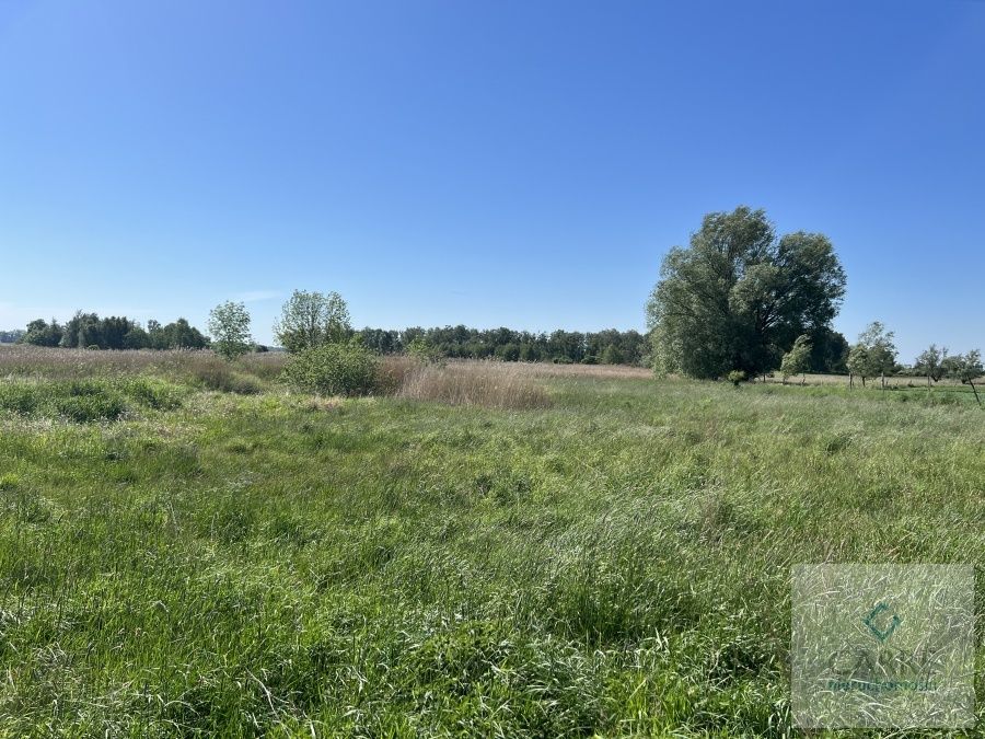 Działka rolna Zastań. Zdjęcie 4