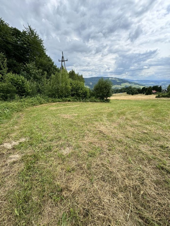 Działka rolna Szymbark Szklarka. Zdjęcie 3