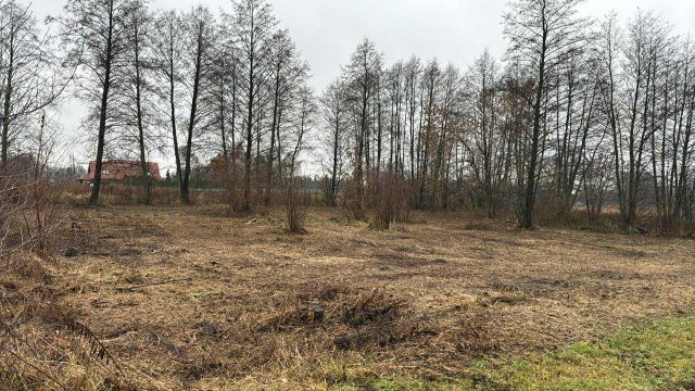 Działka budowlana Jaktorów, Szwolwzerow. Zdjęcie 8