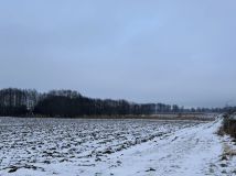 Działka budowlana Szyleny Szyleny-Kolonia. Zdjęcie 2