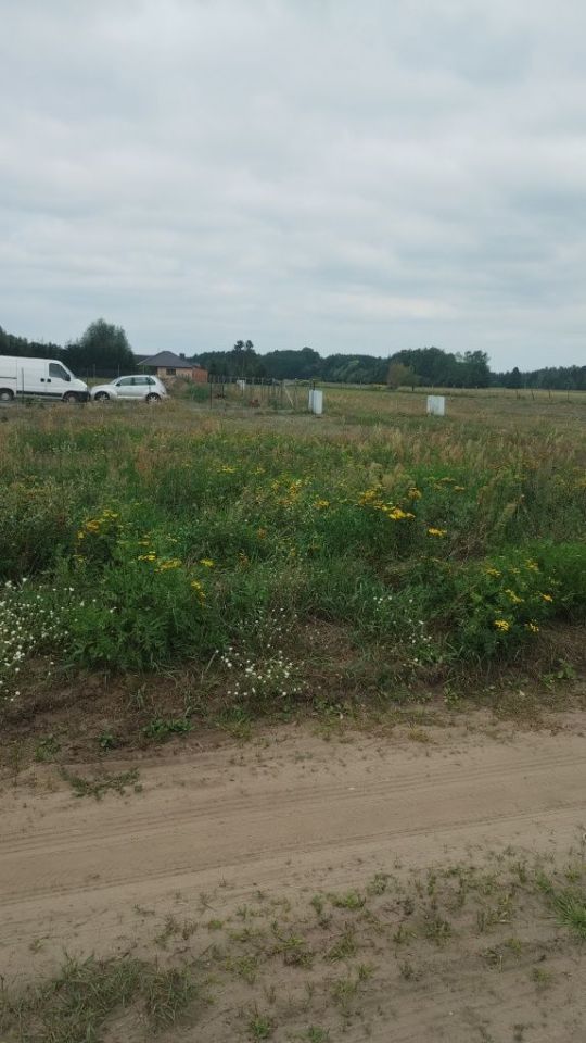 Działka budowlana Borek. Zdjęcie 2