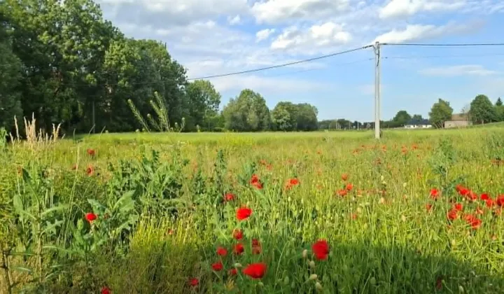 Działka budowlana Marszowice