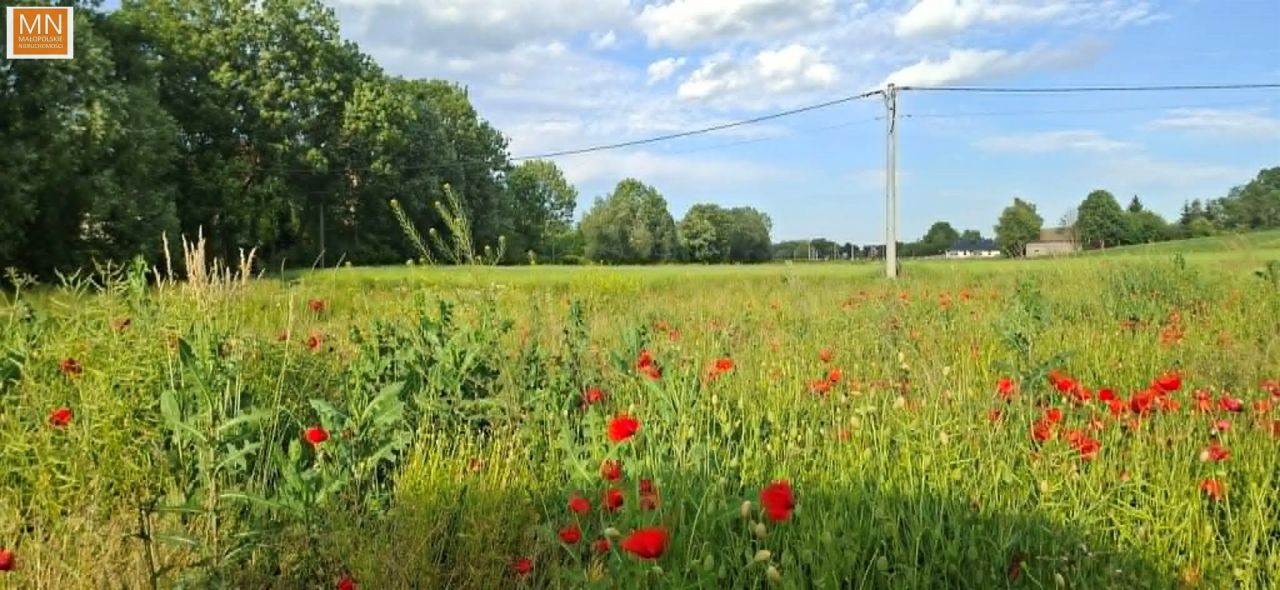 Działka budowlana Marszowice. Zdjęcie 1