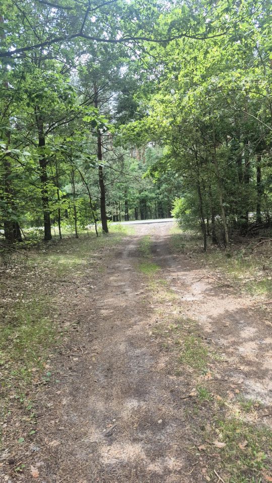 Działka leśna Jamborek, Dębowa. Zdjęcie 5