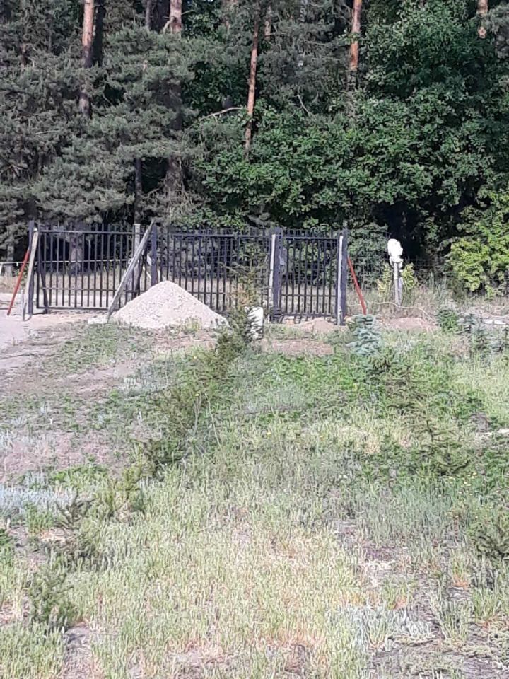 Działka rolno-budowlana Sobieski. Zdjęcie 4