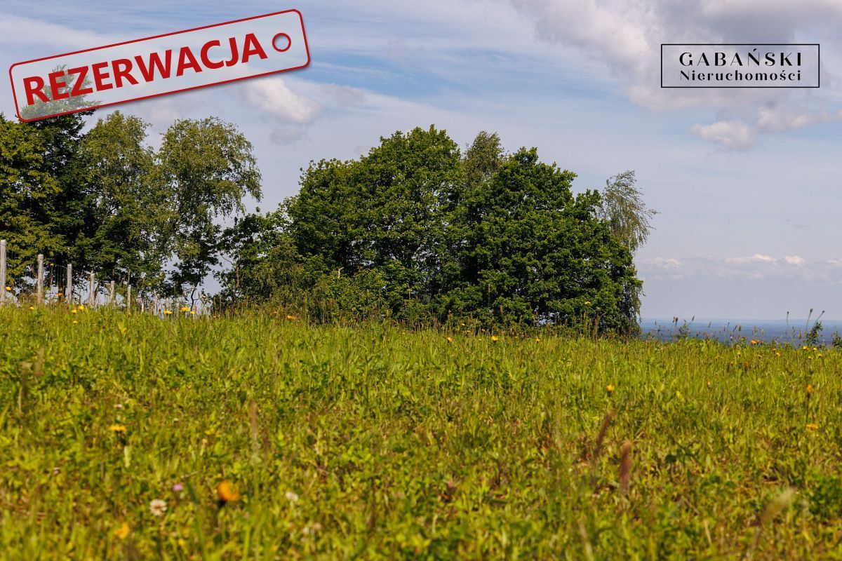 Działka budowlana Dąbrówka Szczepanowska. Zdjęcie 13