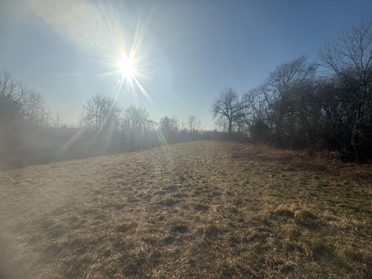 Działka rolno-budowlana Kolosy. Zdjęcie 3