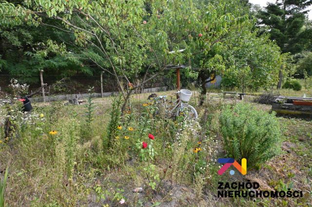 Działka rolna Zielona Góra, ul. Andrzeja Struga. Zdjęcie 13