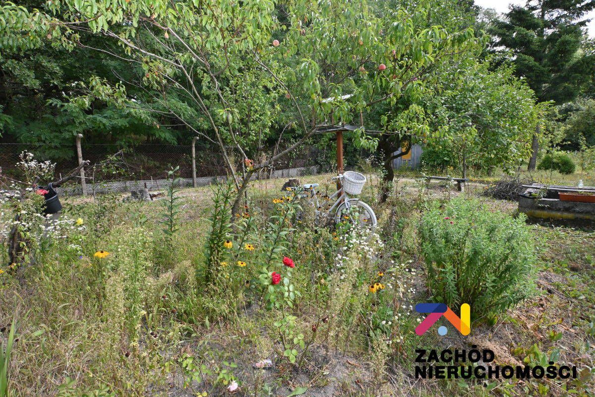 Działka rolna Zielona Góra, ul. Andrzeja Struga. Zdjęcie 13