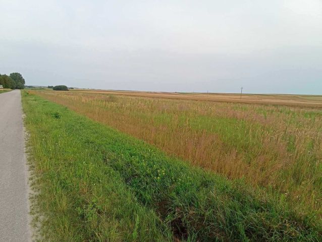 Działka budowlana Sielec. Zdjęcie 1