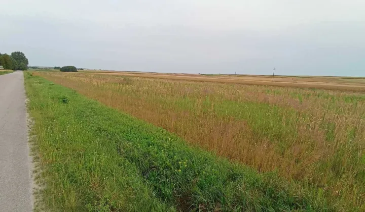 Działka budowlana Sielec