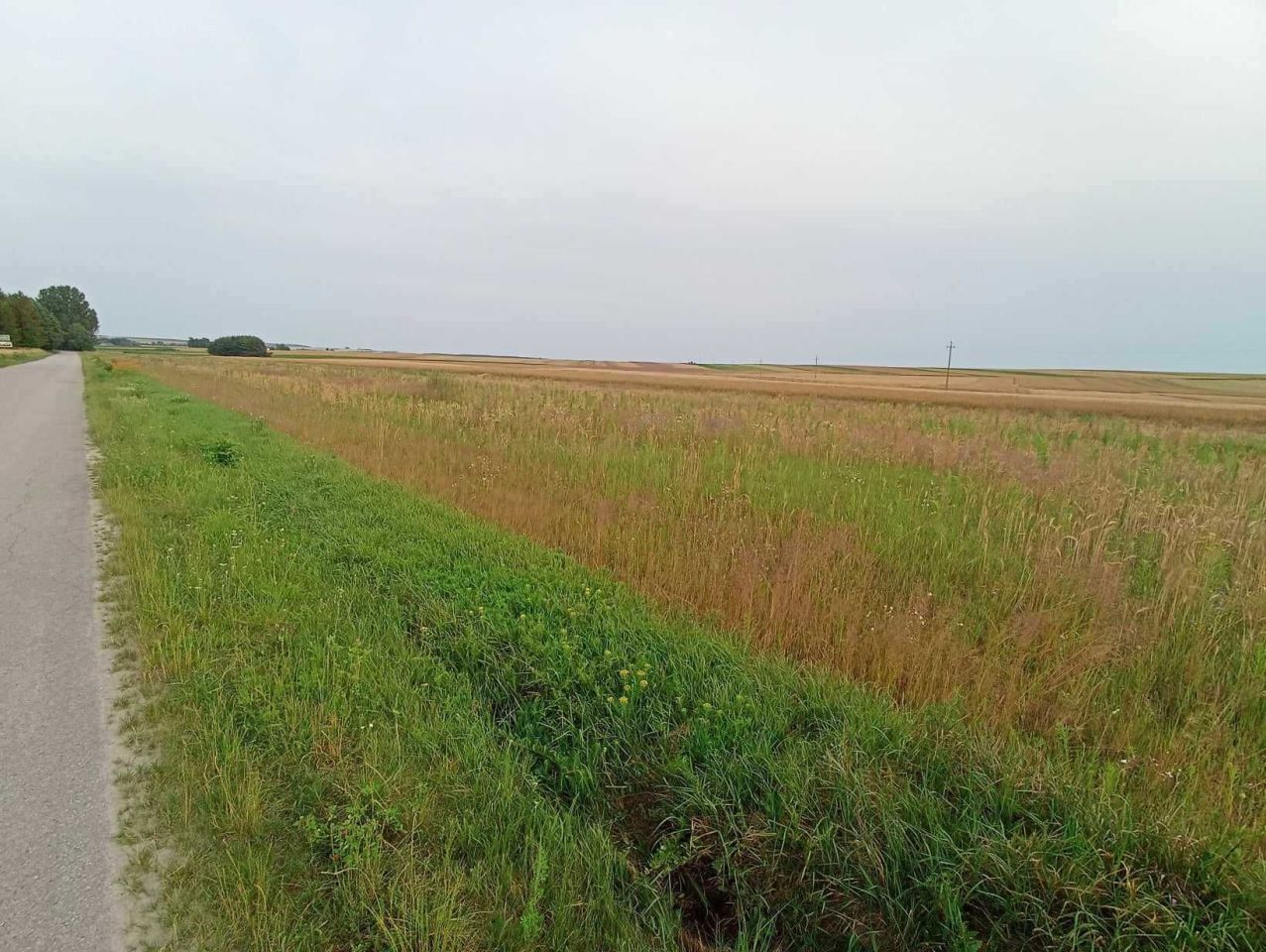 Działka budowlana Sielec. Zdjęcie 1