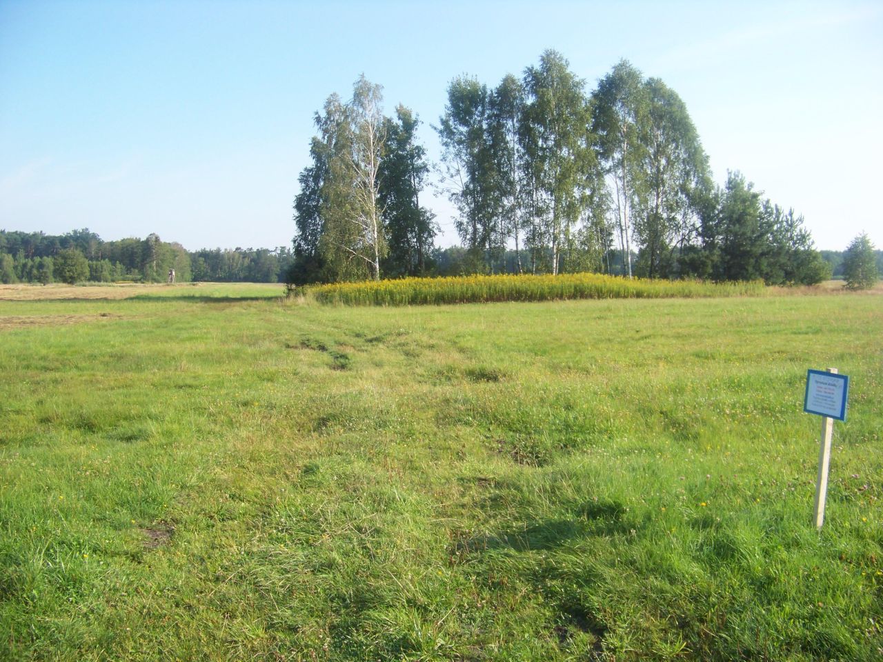 Działka rolna Budy Krępskie. Zdjęcie 3