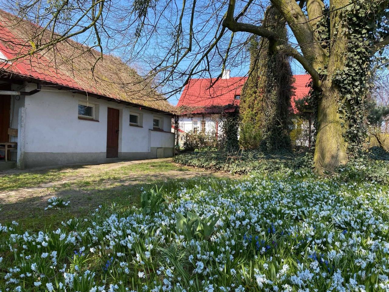 dom wolnostojący Waganiec. Zdjęcie 8