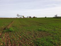 Działka siedliskowa Gwiazdowo. Zdjęcie 2