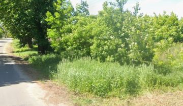 Działka budowlana Wielgie