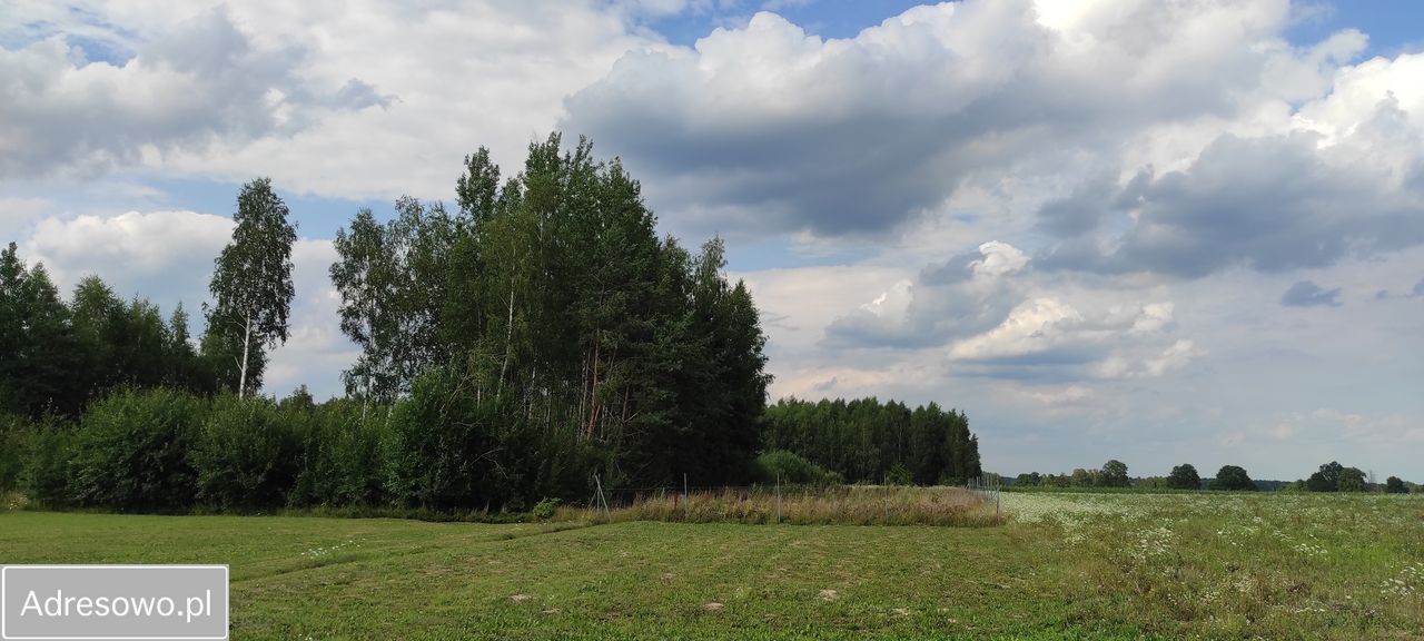 Działka rolno-budowlana Rafałówka. Zdjęcie 3