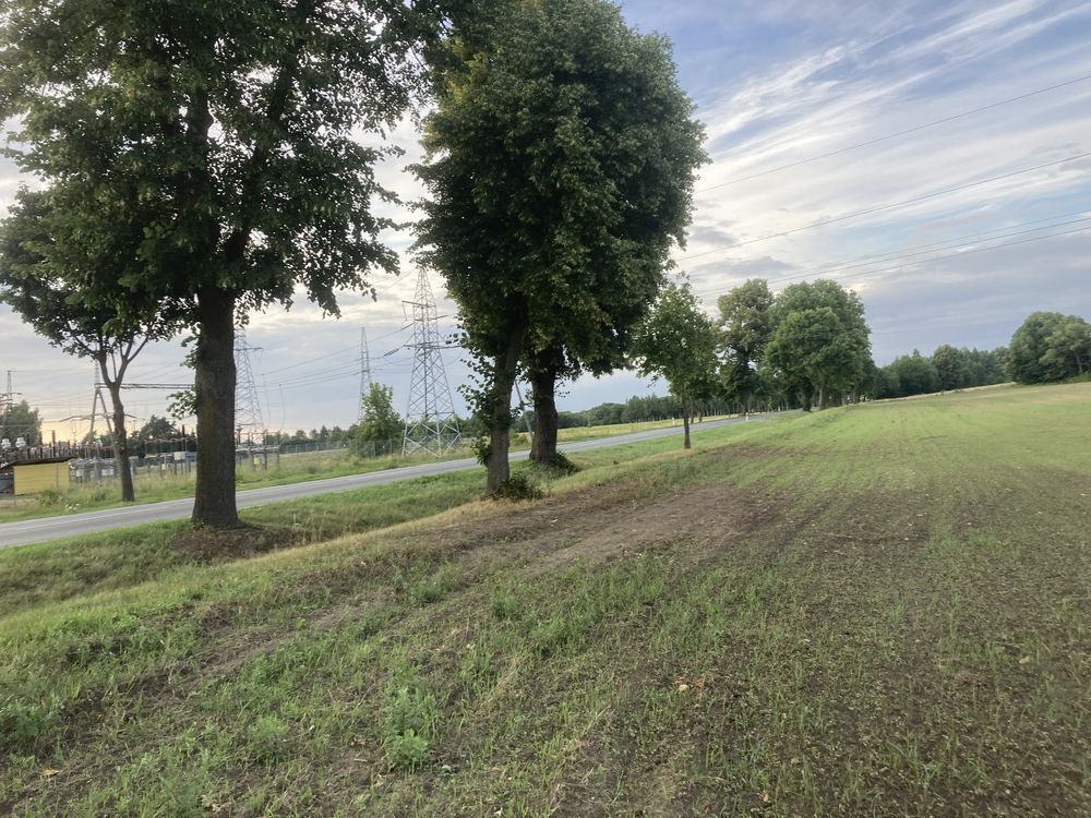 Działka inwestycyjna Lidzbark Warmiński. Zdjęcie 3