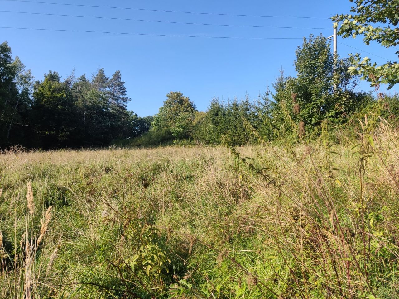 Działka budowlana Muchów. Zdjęcie 2