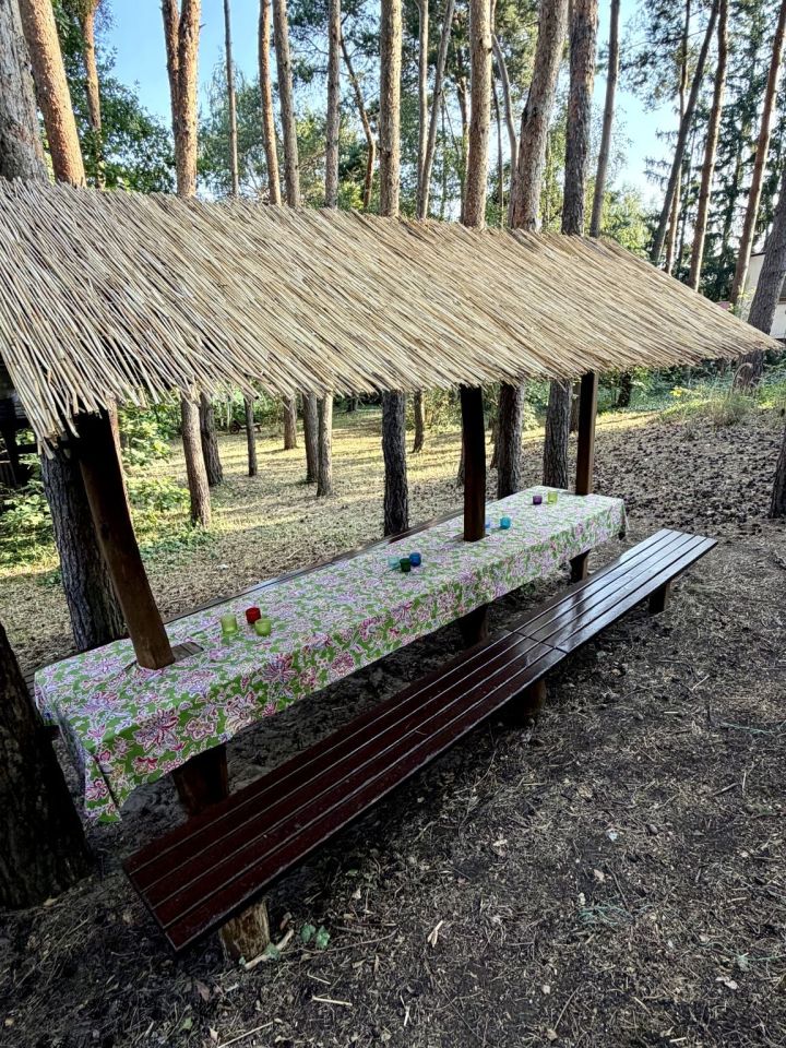 Działka rekreacyjna Boszkowo-Letnisko, ul. Piaskowa. Zdjęcie 16