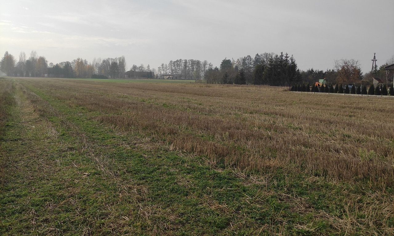 Działka rolna Brzeźnio, ul. Wspólna. Zdjęcie 8