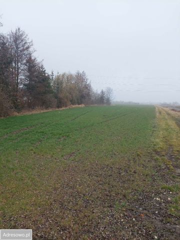 Działka budowlana Domasław, ul. Czereśniowa. Zdjęcie 1