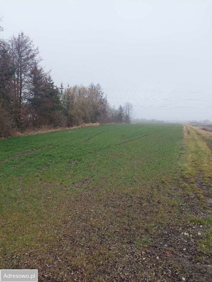 Działka budowlana Domasław, ul. Czereśniowa. Zdjęcie 1