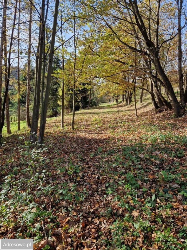 Działka Stróża. Zdjęcie 10