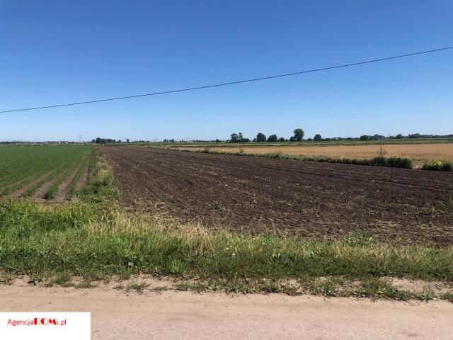 Działka budowlana Radzików. Zdjęcie 3