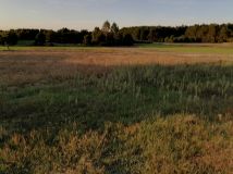 Działka rolna Ścichawa. Zdjęcie 1