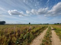 Działka budowlana Gortatowo Gortatowo-Huby, ul. Daleka. Zdjęcie 4
