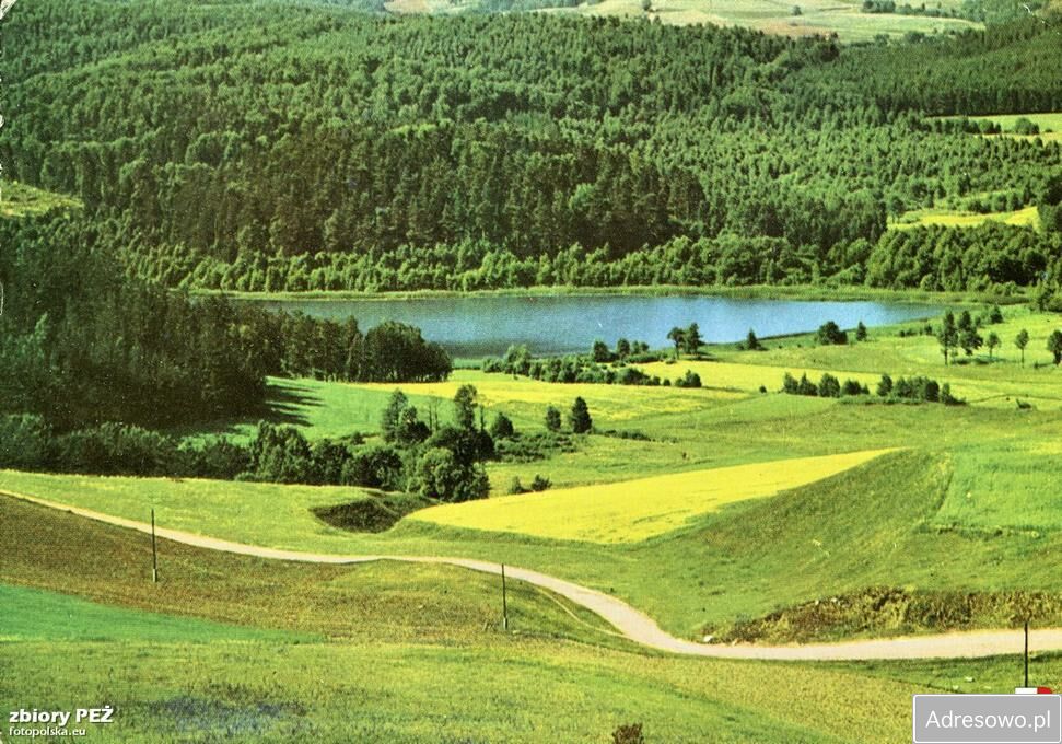 Działka rolno-budowlana Kiersztanowo. Zdjęcie 1