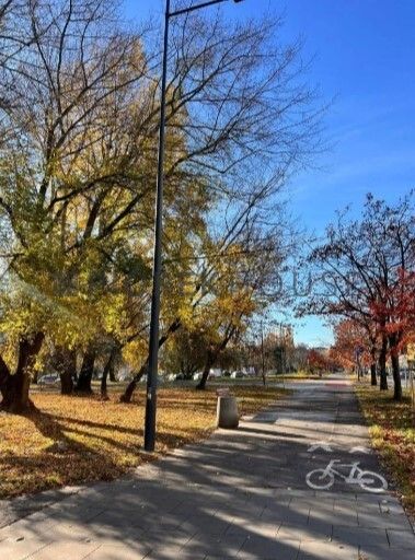 Mieszkanie 1-pokojowe Warszawa Bielany, ul. Sokratesa. Zdjęcie 3